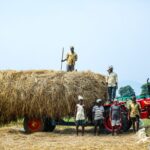 Indian farmers posing with a haystack on a tractor in a countryside field, showcasing rural agriculture.